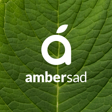 AmberSad